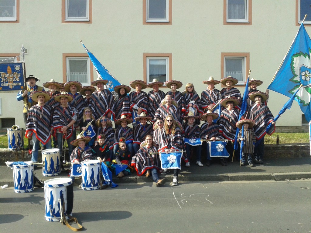 Faschingsumzug Marktheidenfeld 2014