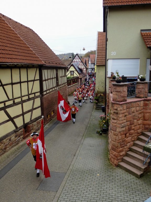 P1070639.jpg