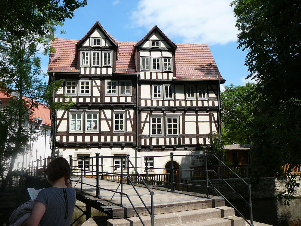 P1140658.JPG