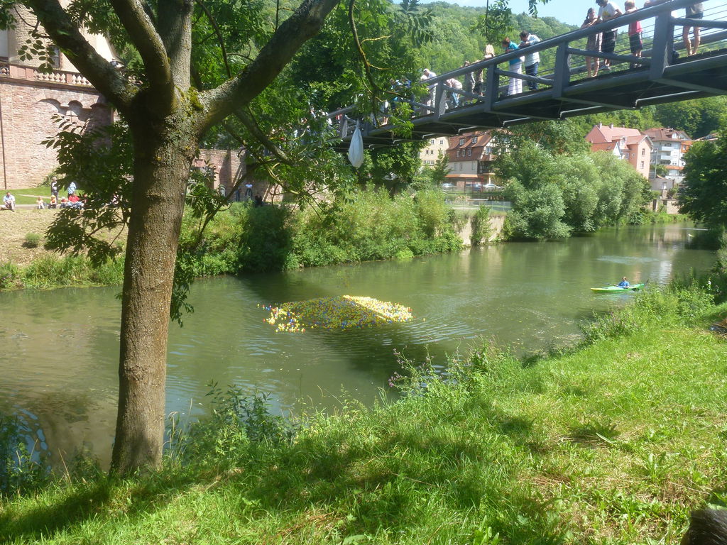 P1010367.JPG