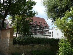 P1140655.JPG