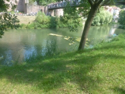 P1010371.JPG